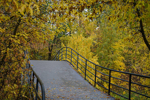 Walk bridge in autumn