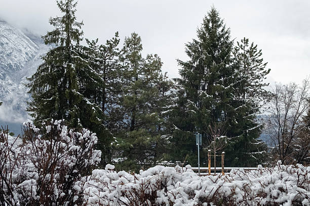 The image is part of a series taken in Trentino, Northern Italy, during a snowy day