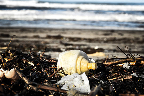 Mussels clinging to buoy, shoe, and piece of driftwood laying on sand demonstrate pollution and environmental damage