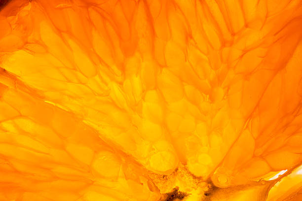 Extreme close-up of a fresh orange slice illuminated from behind, highlighting the intricate texture of the pulp, fiber, and juice vesicles. Vibrant orange and yellow tones create an abstract organic background, perfect for food, health, or nature-themed designs.