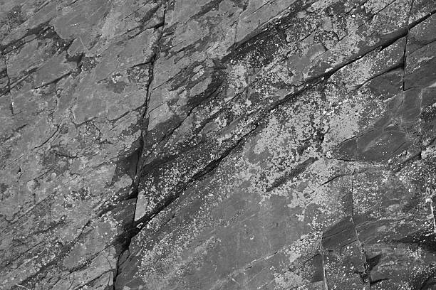 Close-up of schist outcrop on the eastern slope of Mount Tom in Connecticut, where the rocks have been estimated to be 1.3 billion years old. Schist is a metamorphic rock, formed from tremendous pressure and heat. It constitutes much of the bedrock in this area. This rock is similar to the Manhattan schist found in New York City's Central Park. Black-and-white photo.