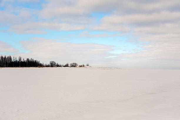 A wide, minimalist landscape featuring a vast snow-covered field leading to a distant tree line under a soft blue sky. Ideal for seasonal backgrounds.