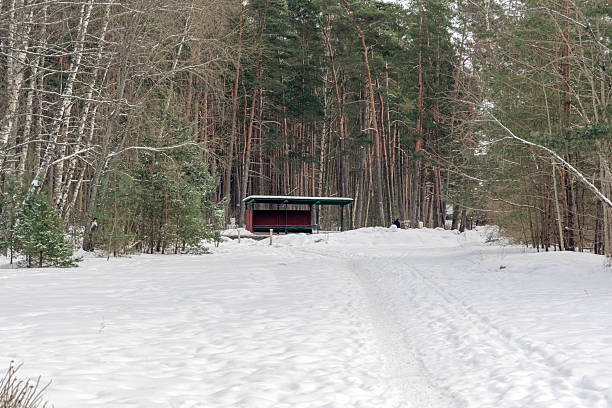 A red wooden bus stop or rest shelter located at the edge of a winter forest path. Functional architecture in a snowy park environment.
