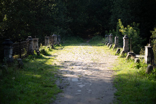 An old road in the woods. Old stone masonry on the road. Park of the 18th century.