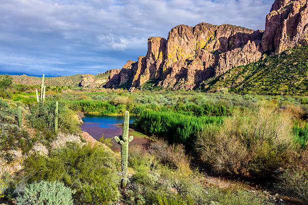 The western Superstition Mountains rise from the Sonoran Desert along the Salt River at the Water Users Recreation Site in the Tonto National Forest. This scenic desert river landscape features rugged volcanic terrain, cacti, and lush riparian vegetation under a sweeping sky.  The Superstition Mountains are north of Apache Junction, Arizona, USA.