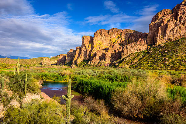The western Superstition Mountains rise from the Sonoran Desert along the Salt River at the Water Users Recreation Site in the Tonto National Forest. This scenic desert river landscape features rugged volcanic terrain, cacti, and lush riparian vegetation under a sweeping sky.  The Superstition Mountains are north of Apache Junction, Arizona, USA.