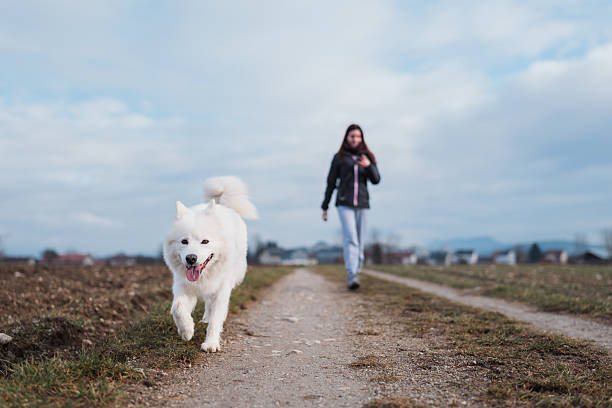 Woman walking dog on pathway in rural landscape while she is on her smartphone