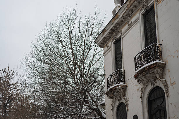 Snow dusts ornate wrought-iron balconies and decorative stonework on a historic residential building, framed by a large leafless tree against a grey winter sky. The quiet, cold scene highlights architectural detail, texture and urban seasonality, suggesting age, stillness and nostalgic city atmosphere.