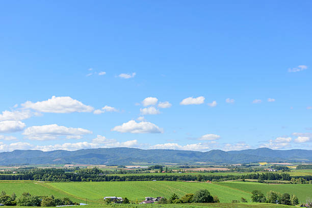 Hokkaido: The beautiful Sanai Hills in Biei