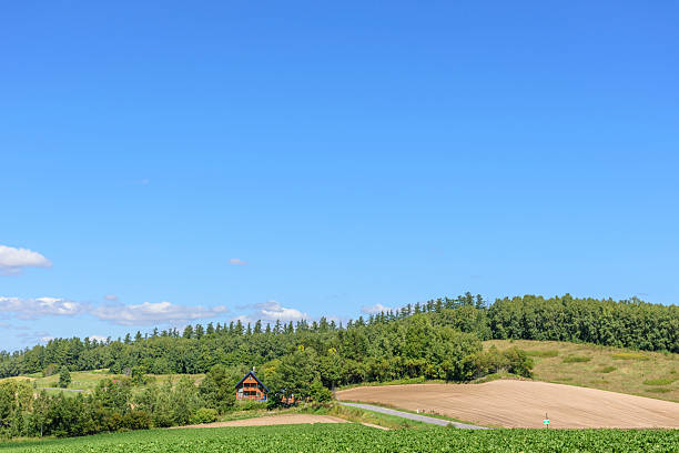 Hokkaido: The beautiful Sanai Hills in Biei