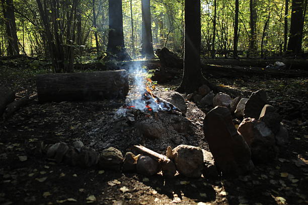 A bonfire in the woods. Stones around the fire. Burning sticks.