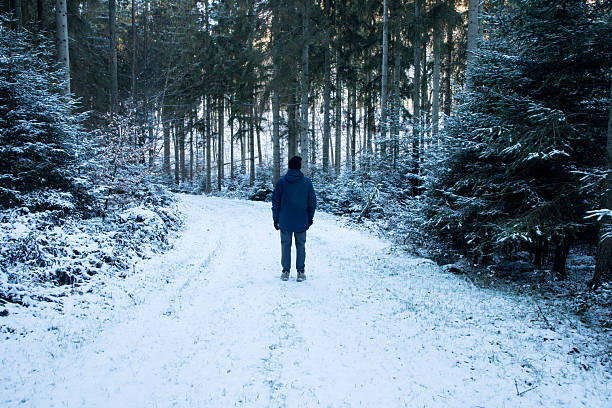 alone man in winter forest standing on path among pine trees and snow, man thinking alone, what road to take ahead