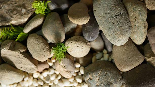 Natural stones and pebbles create serene and calming atmosphere, complemented by small green plants