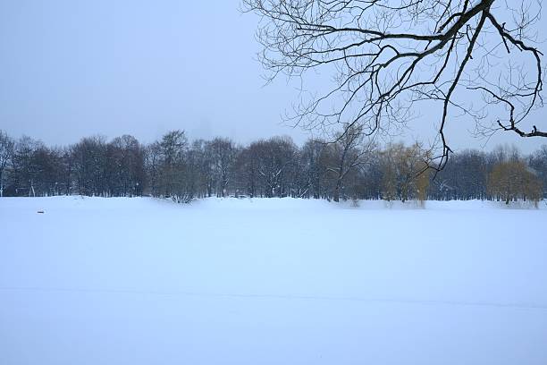 There was a scene of a snow-covered forest in the suburbs.