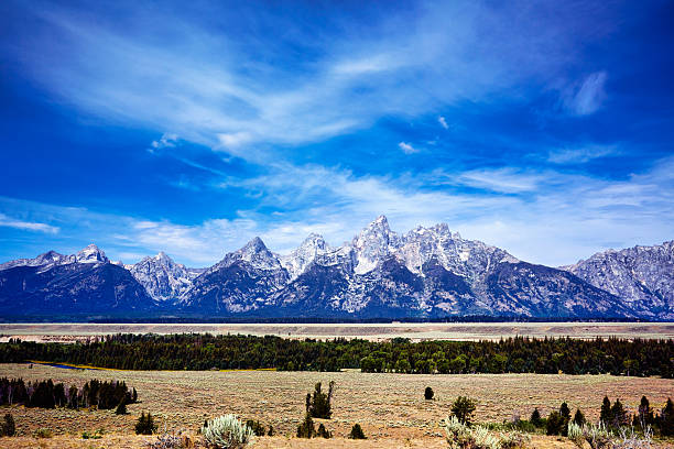 Mountains rise against a blue sky in Grand Teton National Park, Wyoming. Trees and open land fill the foreground, showing nature's expanse.