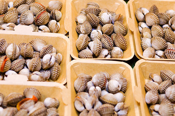 View into boxes with thai river mussel