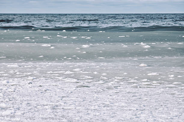 Icy slush floating on cold gray sea water near frozen shoreline, soft diffuse light with overcast sky and horizon in background