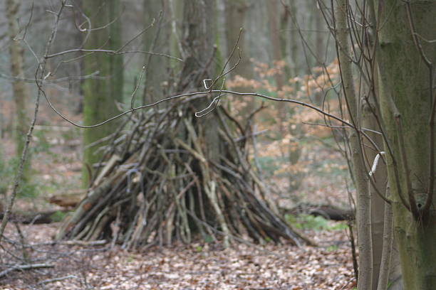 Twigs arranged to form a small woodland den, natural shelter structure in forest setting, rustic survival concept, earthy textures, outdoor habitat, handmade hideaway.