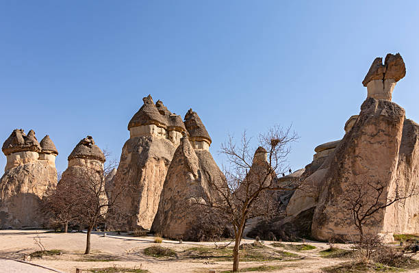 Panoramic view of iconic volcanic rock formations called fairy chimneys in Pasabag Valley under a blue sky, Cappadocia, Nevsehir, Turkey.