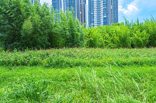 Spring background with city garden