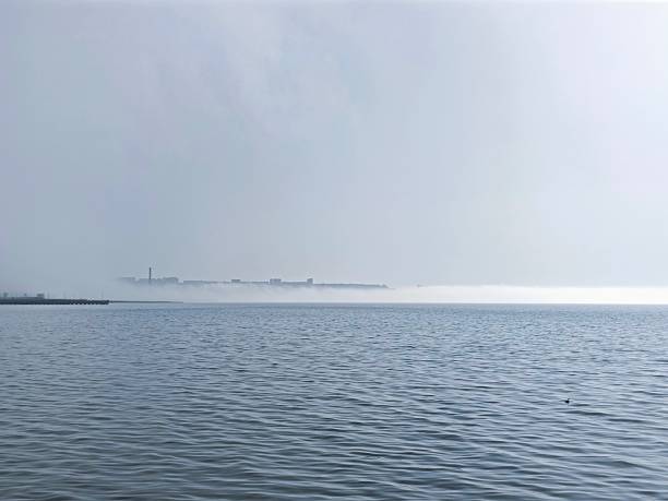 Foggy winter weather . High quality photo