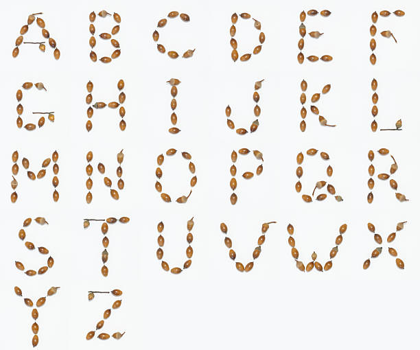 Alphabet made of leaves, letter S