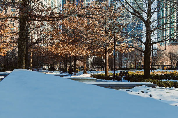 In a city park during winter, snow coats the ground and trees stand bare. Sunlight shines through the branches, creating shadows and highlighting the path.