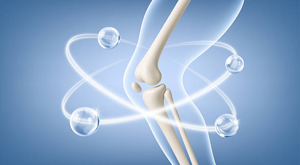 istock Healthy knee joint of a human leg with vitamins and minerals around it. Vector illustration 2263086163