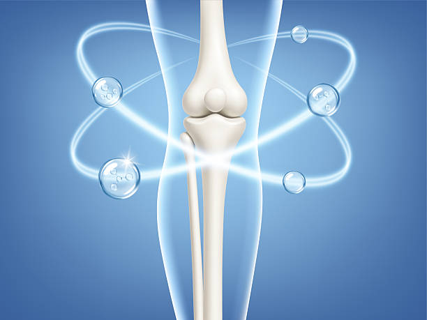 istock Healthy knee joint with collagen and vitamin molecules. Bone and cartilage support concept. Realistic medical vector illustration 2263086380
