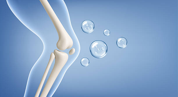 istock Healthy knee joint with collagen and vitamin molecules. Bone and cartilage support concept. Realistic medical vector illustration 2263086410