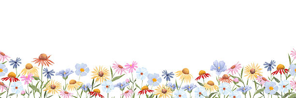 Spring flowers,Hand painted watercolor spring flower border,pastel wildflowers on white background.Seamless pattern floral design for invitations,greeting cards,weddings,Easter,Mothers Day
