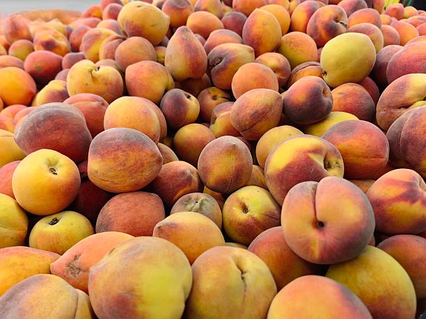 A pile of fresh peaches (Prunus persica) piled up.