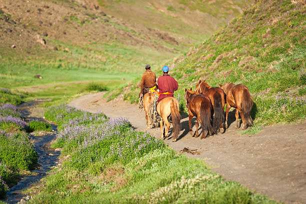 Two mounted riders lead a small group of horses along a dirt track that winds beside a narrow stream. The path is flanked by low green hills and patches of purple wildflowers, bathed in warm sunlight. The riders wear long coats and bright sashes; the horses walk calmly, tails swaying, creating a peaceful pastoral scene in a remote valley.