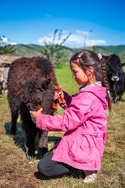 A young girl kneels in a sunlit grassy field, gently holding a small, shaggy black calf. She wears a bright pink jacket and has her hair braided with clips, concentrating as she ties or adjusts a colorful orange ribbon on the animal. Rolling green hills and a clear blue sky form the peaceful rural backdrop, suggesting a warm day on the pasture.