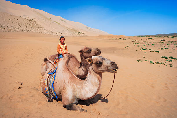 A young rider in an orange shirt sits atop a resting two-humped camel with colorful saddle gear in a wide, sunlit desert. The scene shows rolling sand dunes under a clear blue sky, scattered low green shrubs, and the camel kneeling comfortably with its lead rope lying in the sand. The mood is peaceful and adventurous, highlighting human-animal connection and vast open landscape.