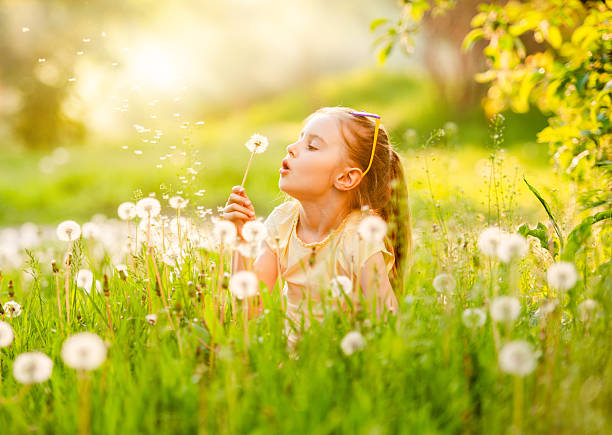 Little Girl Blowing On White Dandelion In A Field