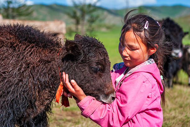 A young girl in a bright pink jacket gently cups and comforts a dark, curly-furred calf with a frayed orange ribbon around its neck. They stand in a sunlit grassy meadow with soft-focus hills in the background, capturing a tender moment of rural life and animal care.