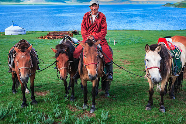 A smiling Mongolian herder sits astride a brown horse on a green lakeside meadow, holding the reins of three other saddled horses standing beside him. A white ger (yurt), stacked firewood and a bright blue lake with rolling hills form the calm pastoral background. The man wears a red traditional robe and cap; the horses display colorful saddles and bridles, conveying a scene of nomadic life and outdoor work.