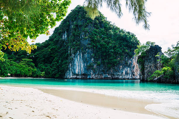 Tropical beach lagoon featuring white sand, clear turquoise water, and lush green limestone cliffs