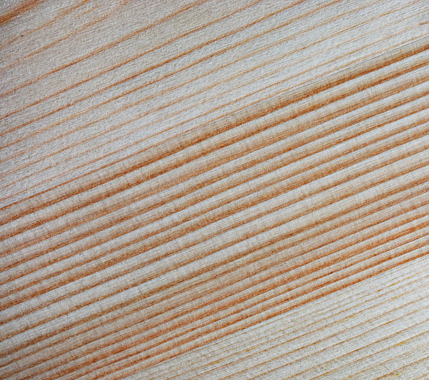 Thin and straight grain lines on a wood surface for use as a background or for texture.
