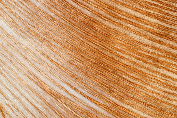 Soft botanical texture in beige and orange shades.
