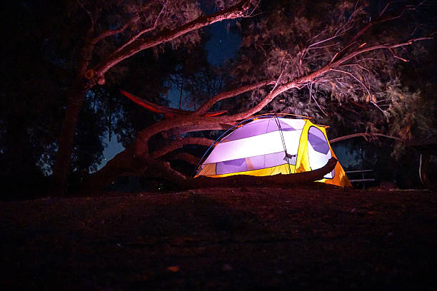 A tent is set up in the woods at night. The tent is yellow and has a blue stripe. The tent is lit up by a light