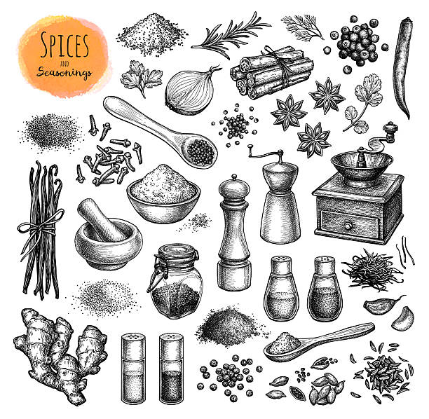Spices, herbs and seasonings. Mills and grinders. Big collection of ink sketches isolated on white background. Hand drawn vector illustration. Retro style.