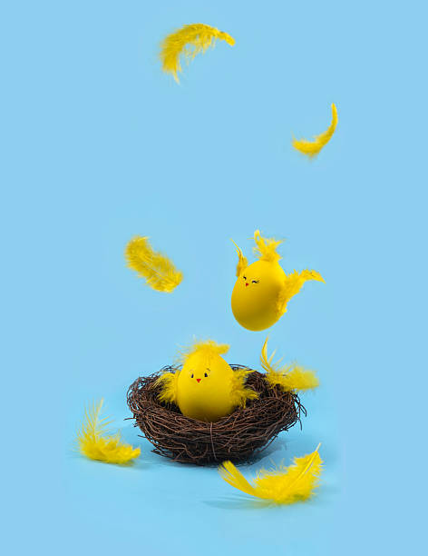 A spring Easter card with yellow eggs, stylized as cute chicks flying over a nest amidst falling yellow feathers. Сreative Easter card with space for your text.