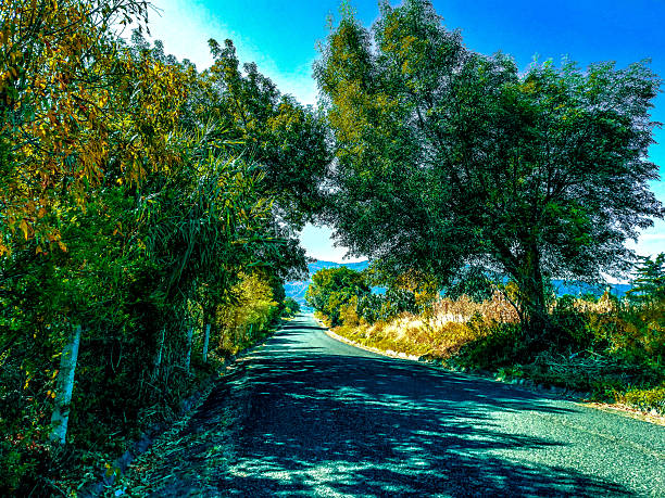 A winding road curves around rocky hills. Green bushes grow alongside the pavement. The scene shows a clear sky and sunlight. There are no vehicles on the road, making it quiet and open.