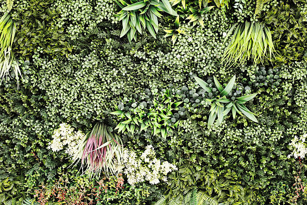 istock Artificial jungle vertical garden wall with lush green plants. Decorative foliage texture background. 2263240482