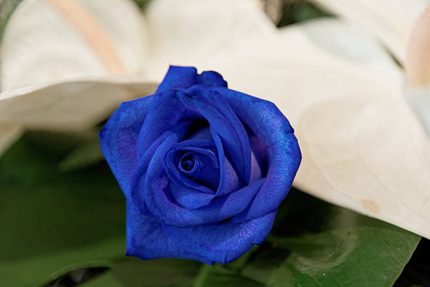 wedding bouquets, flowers and wedding arrangements