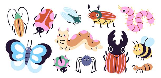 Doodle insects. Cartoon caterpillar, worm, beetle and butterfly. Funny spider and ant, fly and ladybug. Nature dwellers, lives in forest. Children mascots, racy vector set original artwork