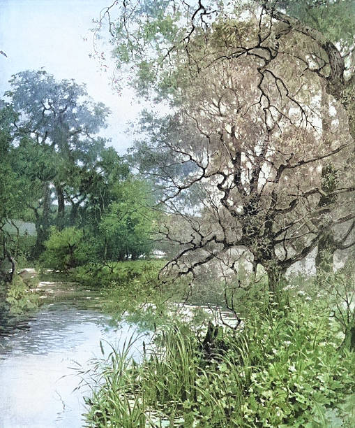 19th Century Painting: W Hamilton Gibson, Summer Afternoon