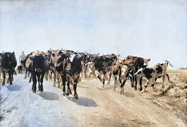 19th Century Painting: Aymar Pezant, Road of Vaudancourt